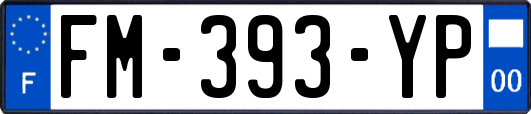 FM-393-YP