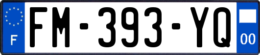 FM-393-YQ