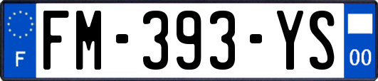 FM-393-YS