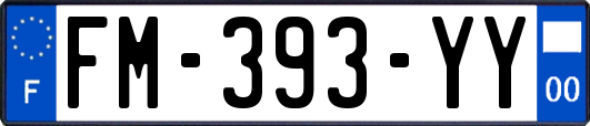 FM-393-YY