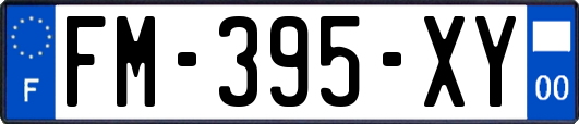 FM-395-XY