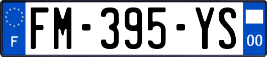 FM-395-YS