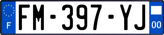 FM-397-YJ
