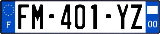 FM-401-YZ