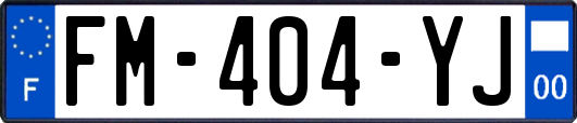 FM-404-YJ
