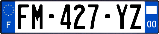 FM-427-YZ