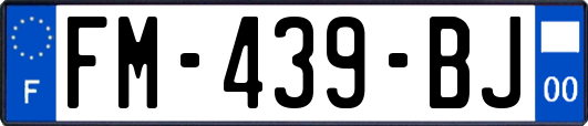 FM-439-BJ