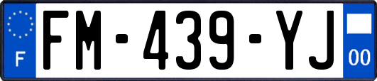 FM-439-YJ