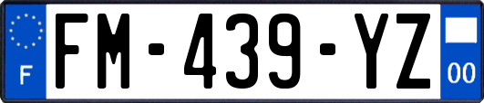 FM-439-YZ