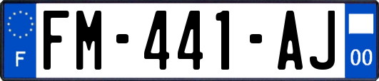 FM-441-AJ