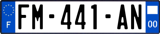 FM-441-AN