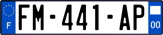 FM-441-AP