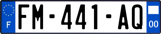 FM-441-AQ