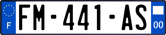 FM-441-AS