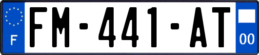 FM-441-AT