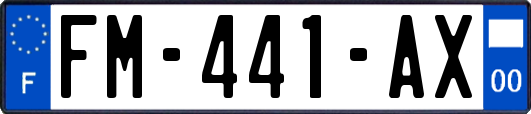 FM-441-AX