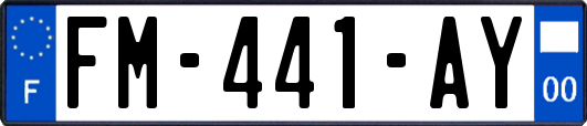 FM-441-AY