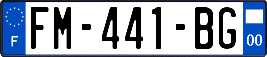 FM-441-BG