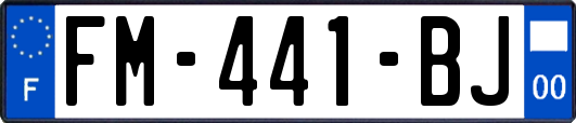 FM-441-BJ