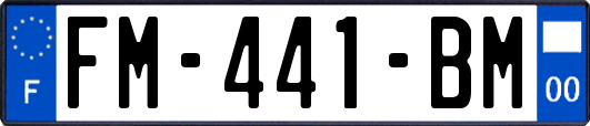 FM-441-BM