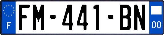 FM-441-BN