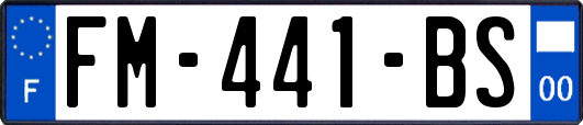 FM-441-BS