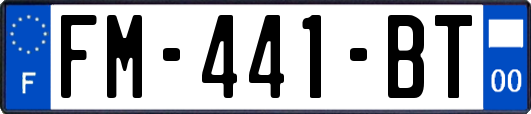 FM-441-BT
