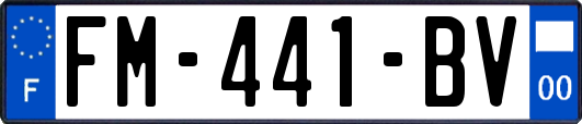 FM-441-BV
