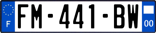 FM-441-BW