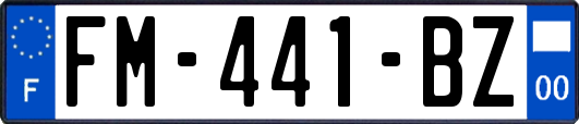 FM-441-BZ