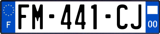 FM-441-CJ