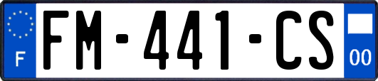FM-441-CS