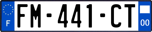 FM-441-CT