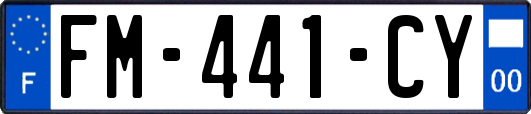 FM-441-CY