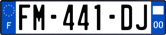 FM-441-DJ