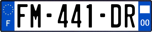 FM-441-DR