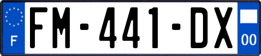 FM-441-DX