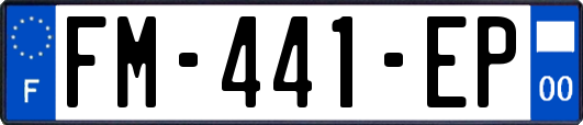 FM-441-EP