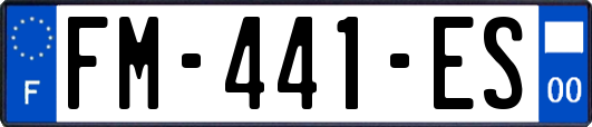 FM-441-ES