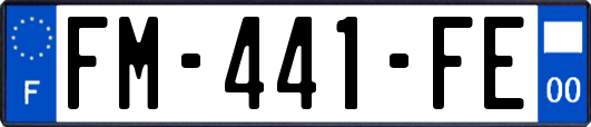 FM-441-FE