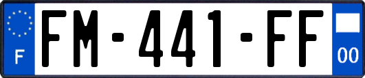 FM-441-FF