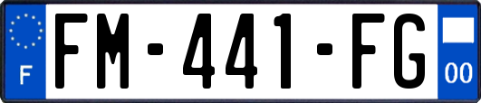 FM-441-FG