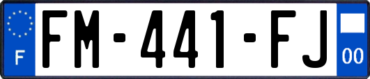 FM-441-FJ