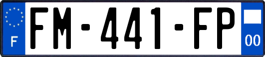 FM-441-FP