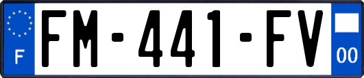 FM-441-FV