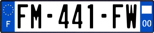 FM-441-FW