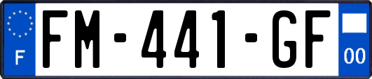 FM-441-GF