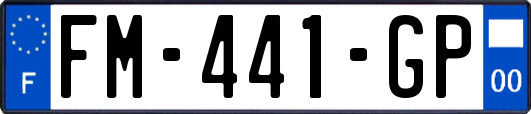 FM-441-GP