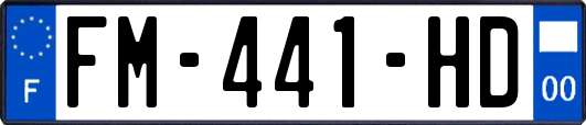 FM-441-HD
