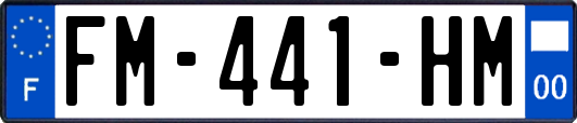 FM-441-HM